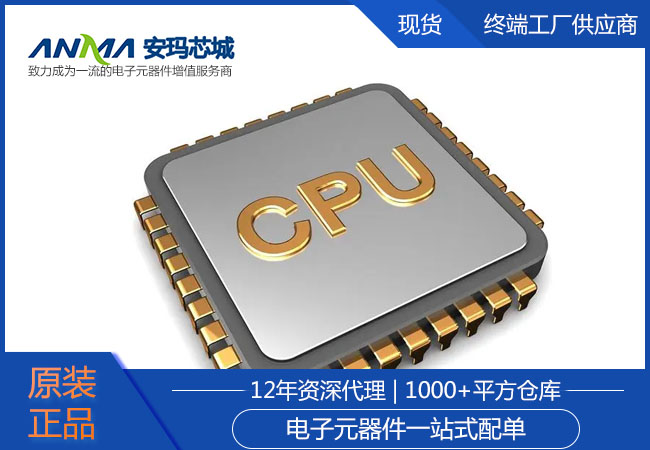 CPU（中央处理器）-安玛芯城